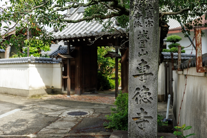 浄土真宗 本願寺派 城国山 専徳寺