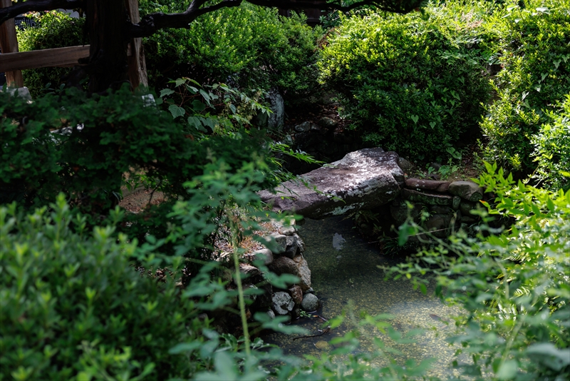 浄土真宗 本願寺派 城国山 専徳寺