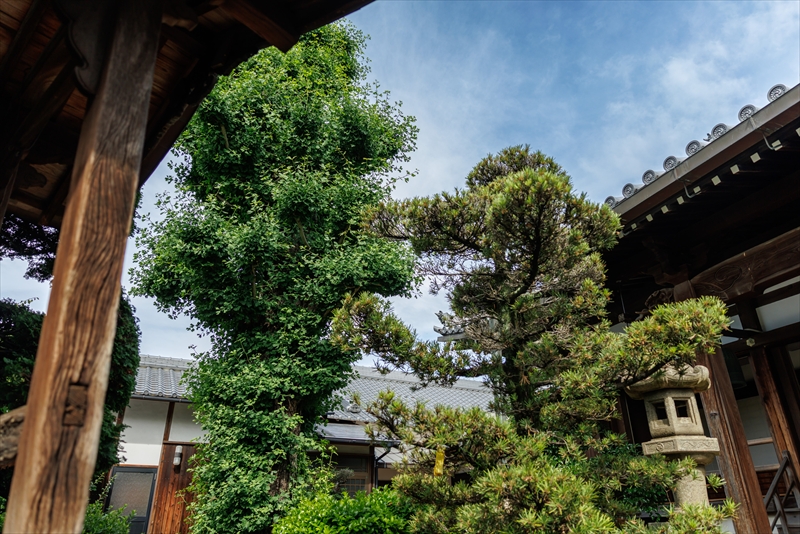 浄土真宗 本願寺派 城国山 専徳寺