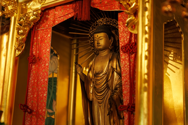 浄土真宗 本願寺派 城国山 専徳寺