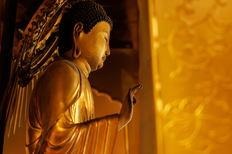 浄土真宗 本願寺派 城国山 専徳寺