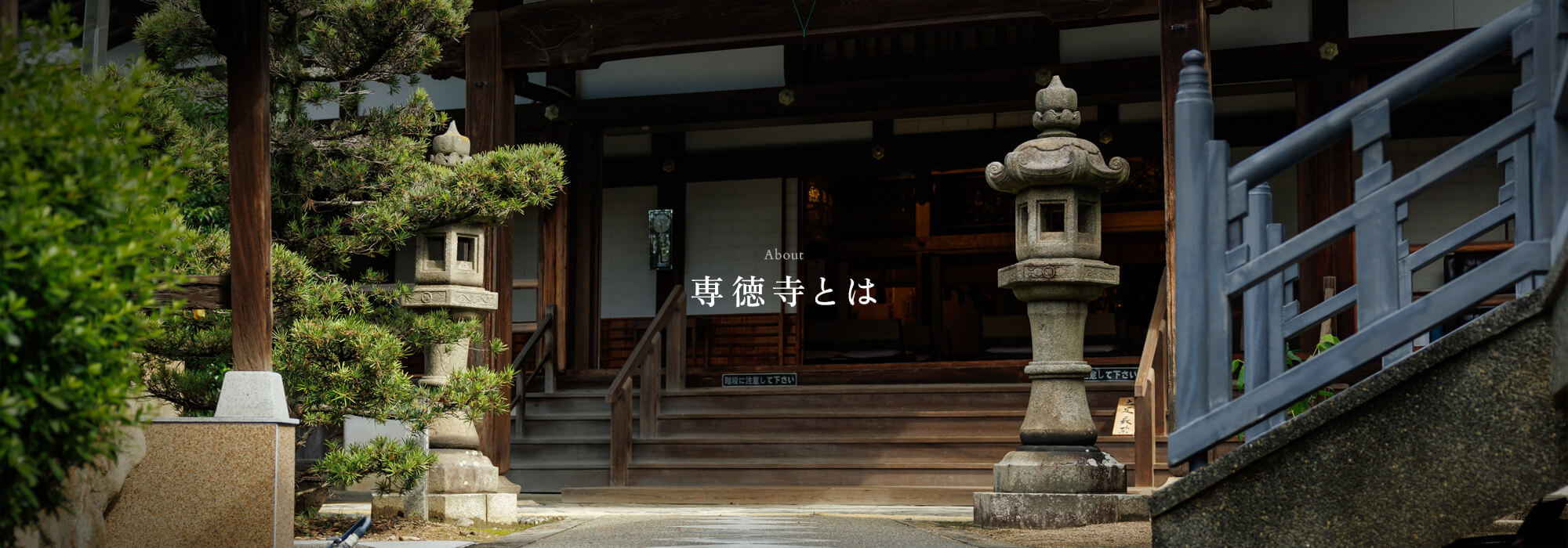 専徳寺とは