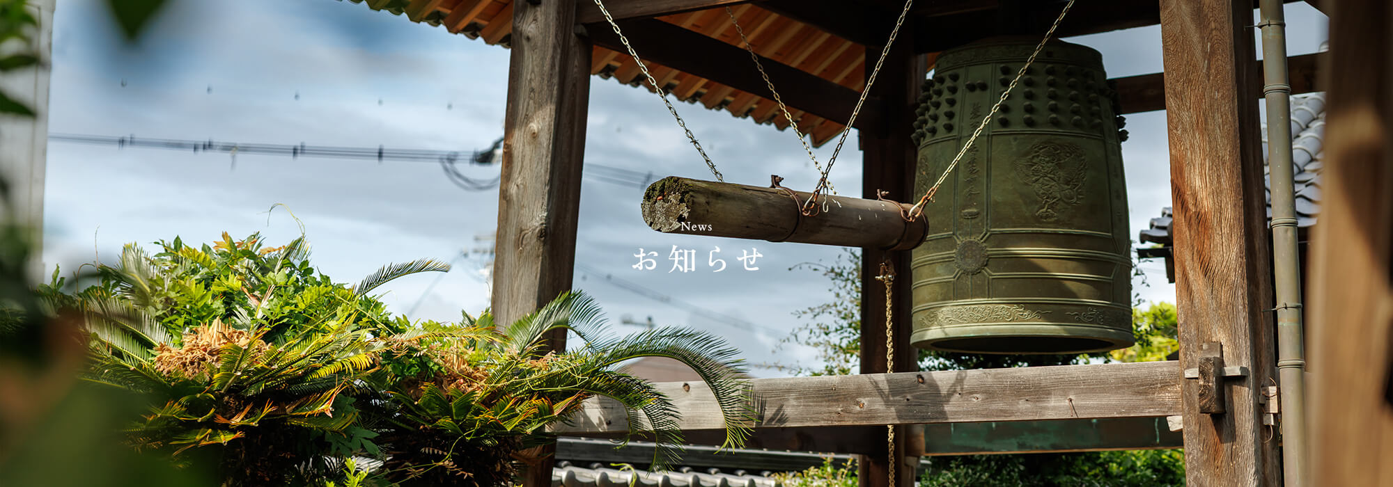 お知らせ